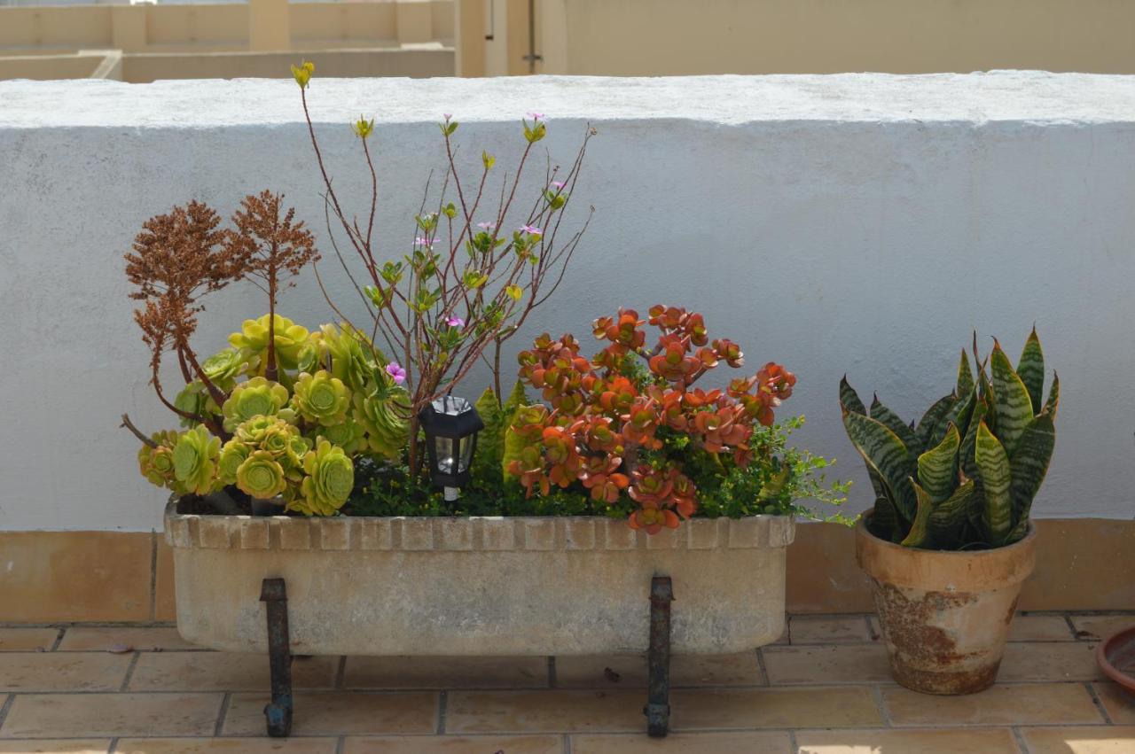 Apartamento El Mirador De Cádiz Kültér fotó